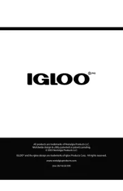 Igloo