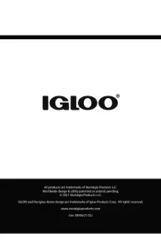 Igloo