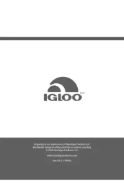 Igloo