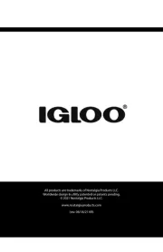 Igloo