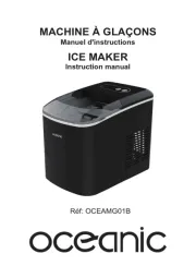Oceanic