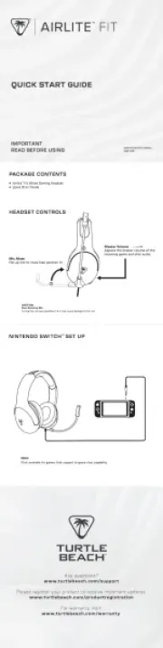 Turtle Beach