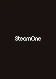 SteamOne