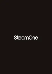 SteamOne