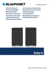 Blaupunkt