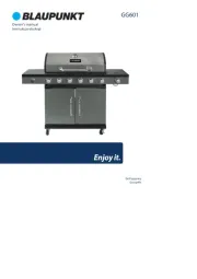 Blaupunkt