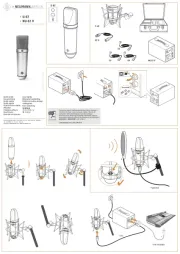 Neumann