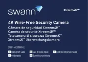 Swann
