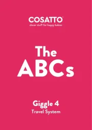 Cosatto