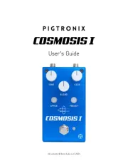 Pigtronix