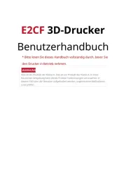 Raise3D