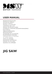 MSW