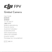 DJI