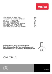 Amica