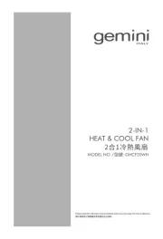 Gemini