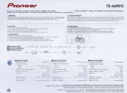 Pioneer