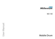 Millenium
