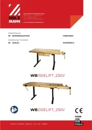 Holzmann
