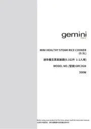 Gemini