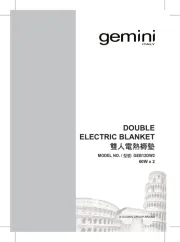 Gemini