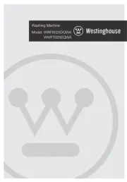 Westinghouse
