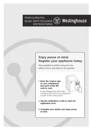 Westinghouse