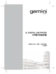 Gemini