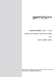 Gemini