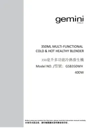 Gemini
