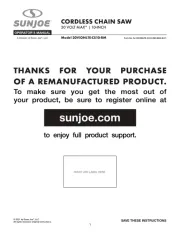 Sun Joe