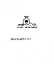 Black Lion Audio