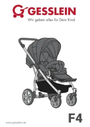 Gesslein