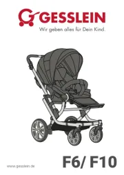 Gesslein