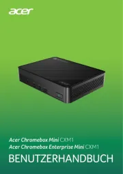 Acer