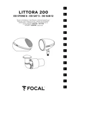 Focal