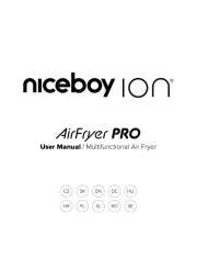 Niceboy