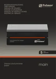 Palmer