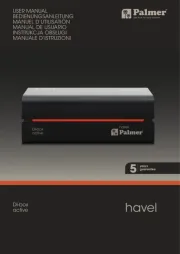 Palmer