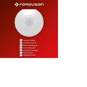 Ferguson