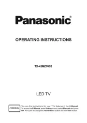 Panasonic