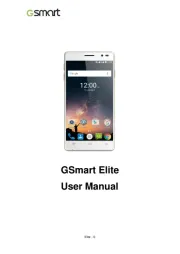 Gigabyte