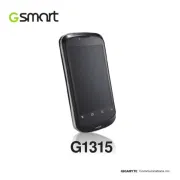 Gigabyte