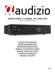 Audizio