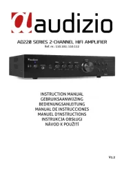 Audizio