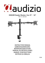 Audizio