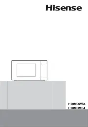 Hisense