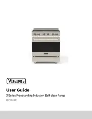 Viking