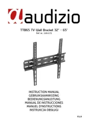 Audizio