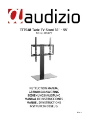 Audizio
