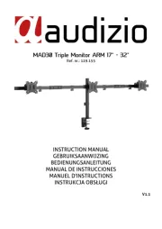 Audizio